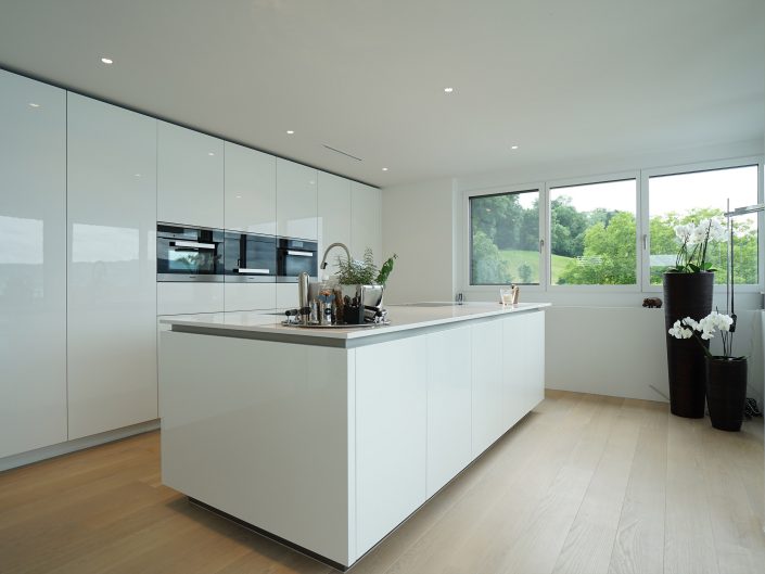 Neubau Attika Wohnung Richterswil